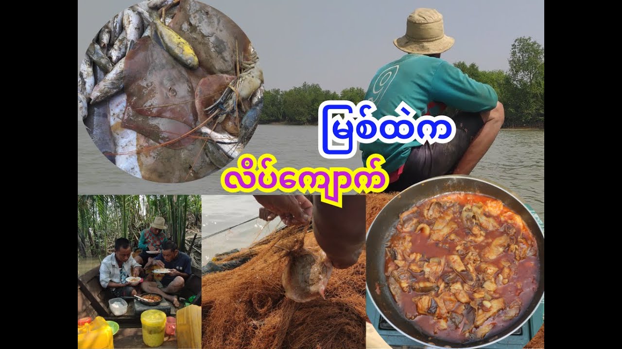 မြစ်ထဲက လိပ်ကျောက်သားရှားပြီး ချက်စားမယ်