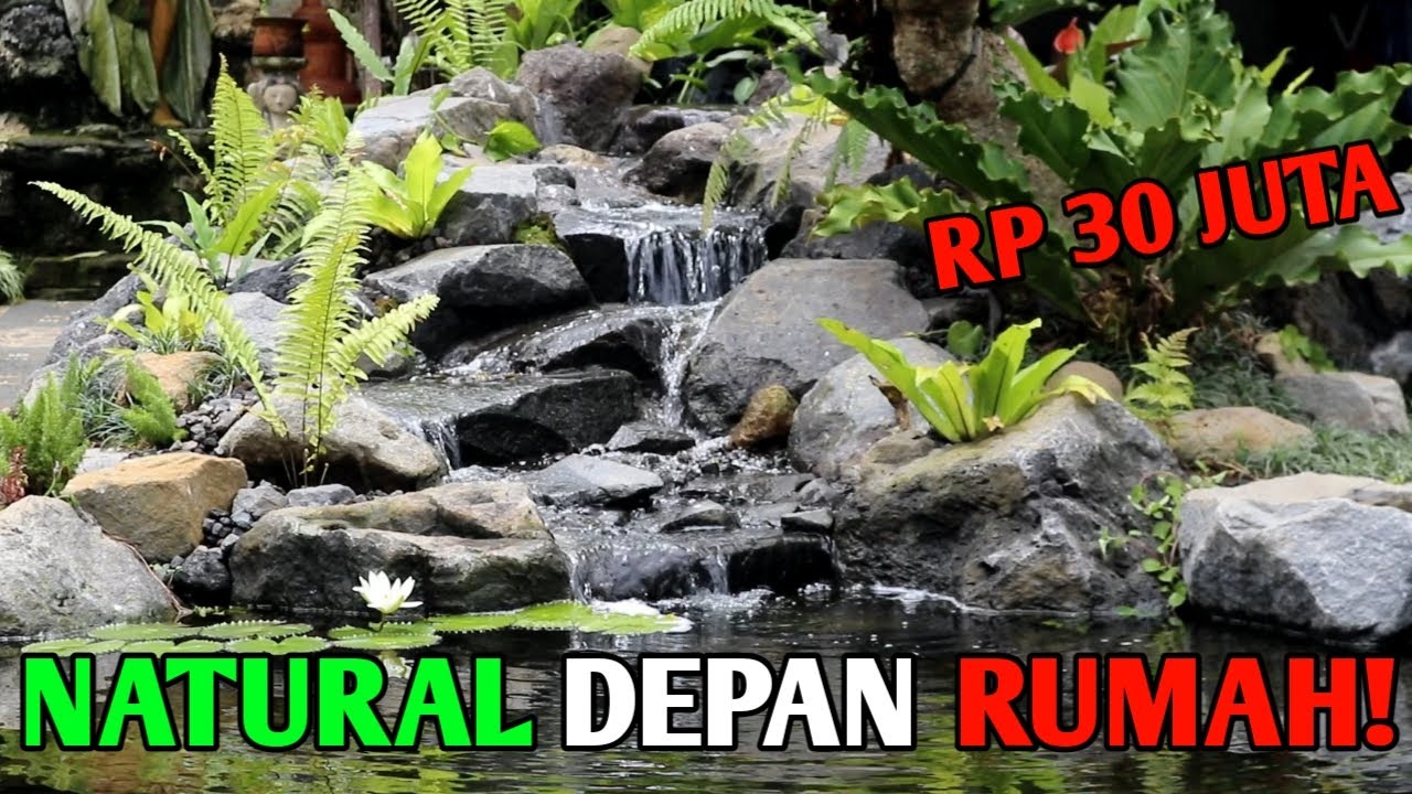 KOLAM KOI TERINDAH|KOLAM KOI NATURAL BESAR DEPAN RUMAH#KOLAMKOI#KOI#IKANKOI#KOIBALI#KOIBLITAR#
