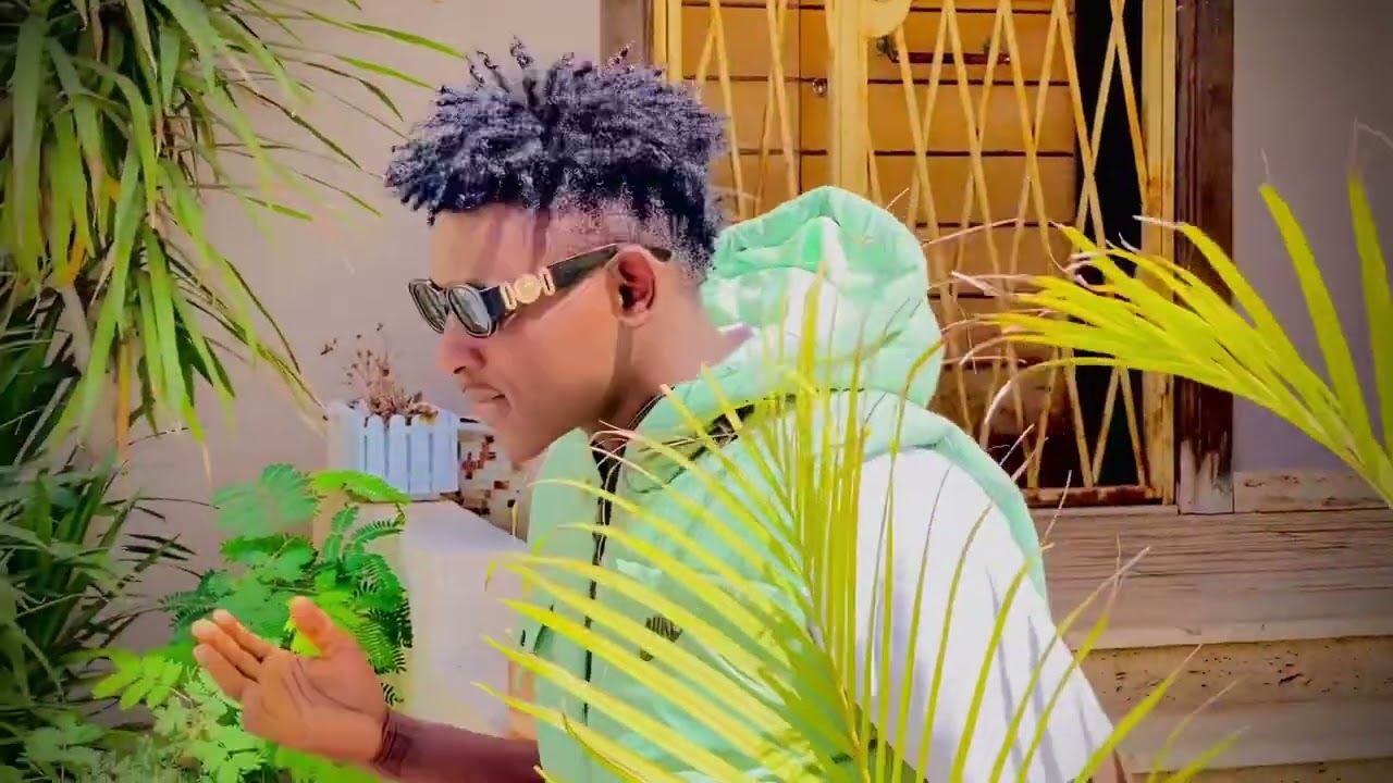 Niga-_boy 227 🇳🇪 inda-_rai-_Official -_video