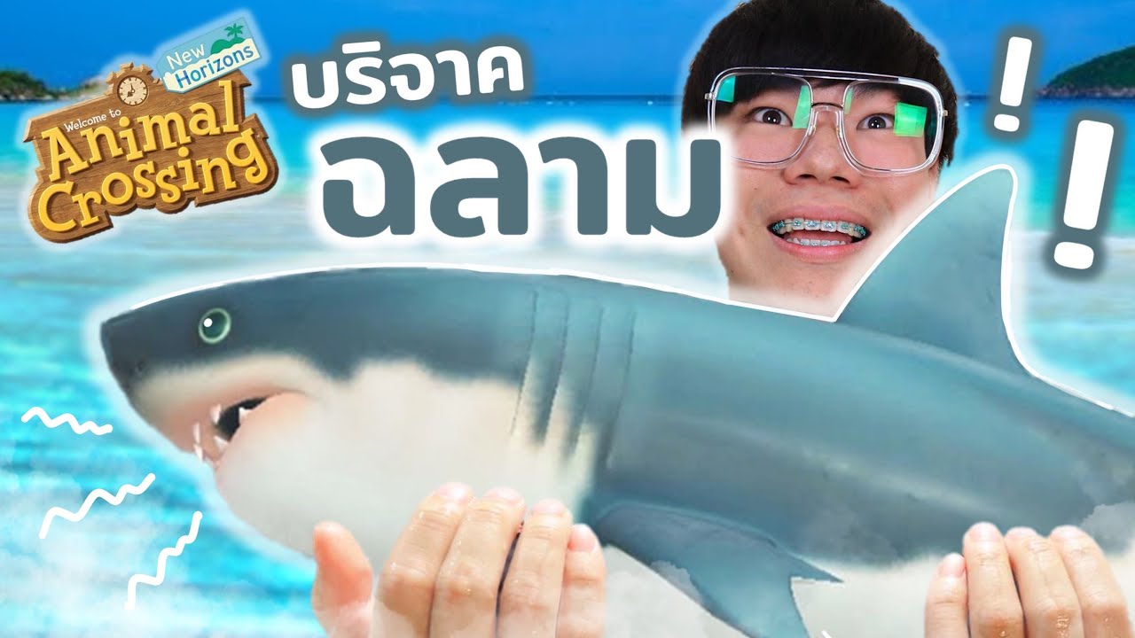 เอาฉลามไปบริจาค!! วันว่างๆบนเกาะส่วนตัว | Animal Crossing New Horizons