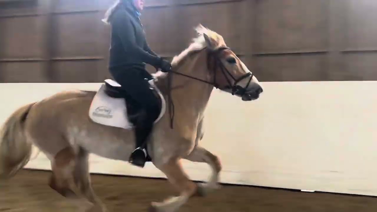 Costerilla 2021 - @stallfrasibäck