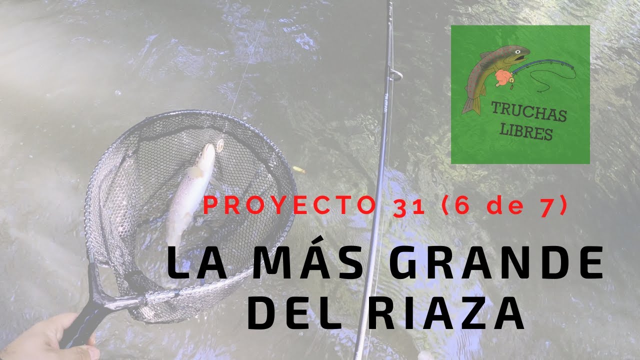 PROYECTO 31 | LA  🐟  MÁS GRANDE DEL RIAZA (6 de 7)