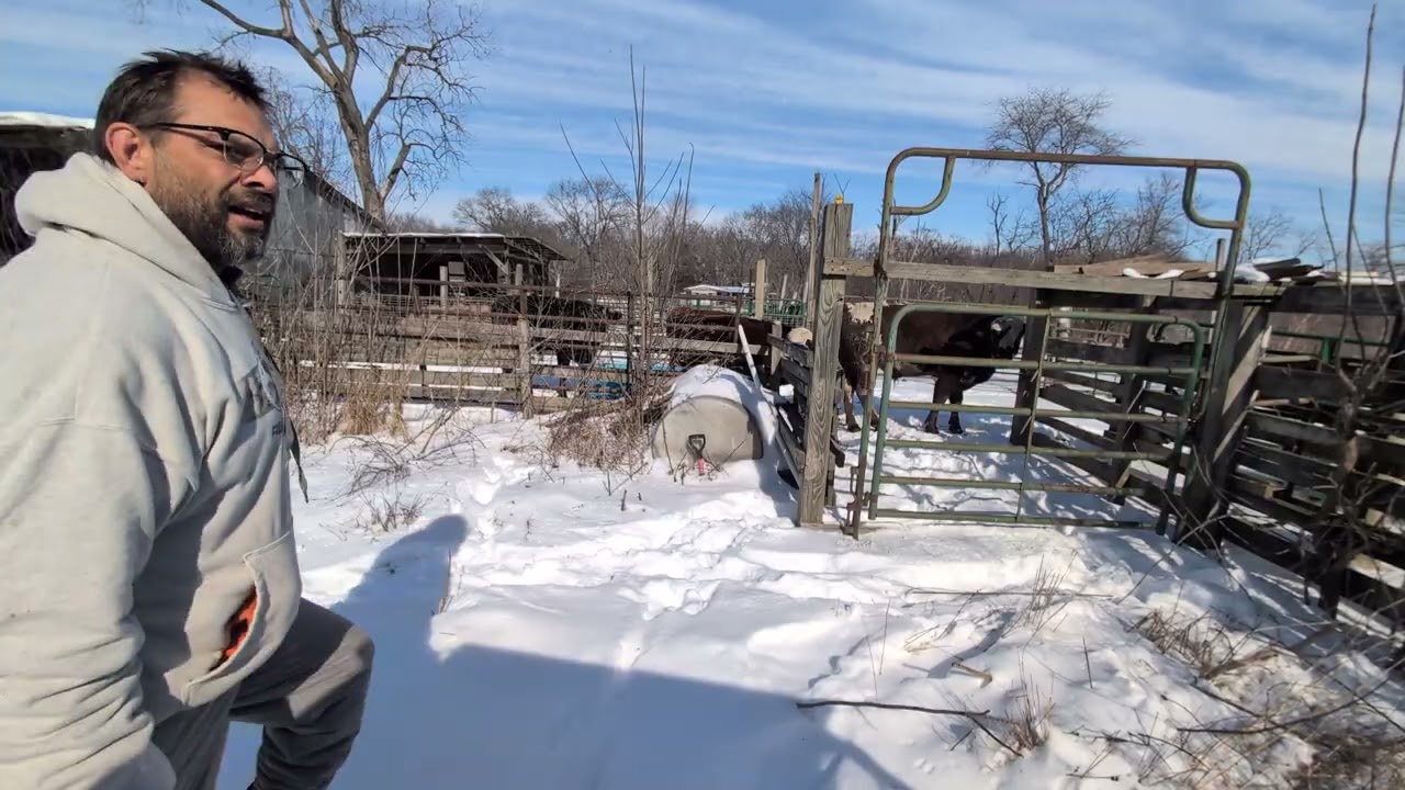 January 30, 2026 TGIF on the farm 
