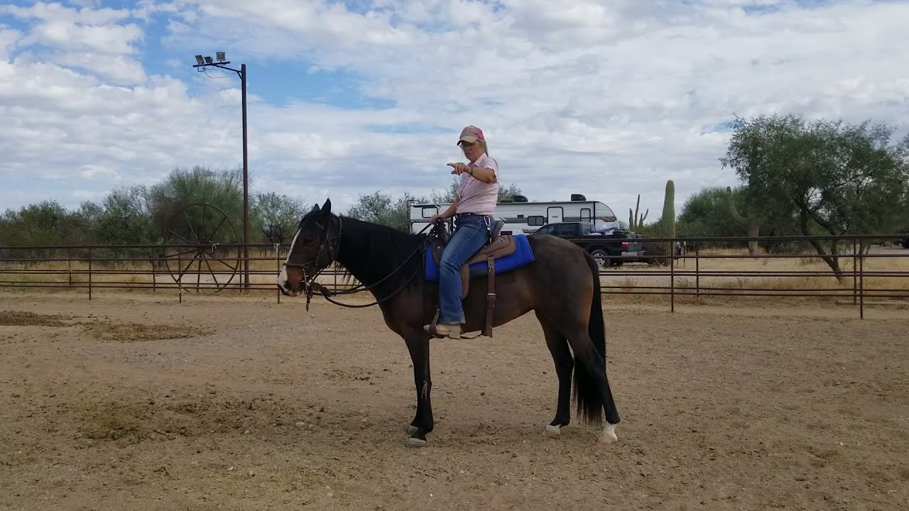 Correcting pacing not desired in gaited horses