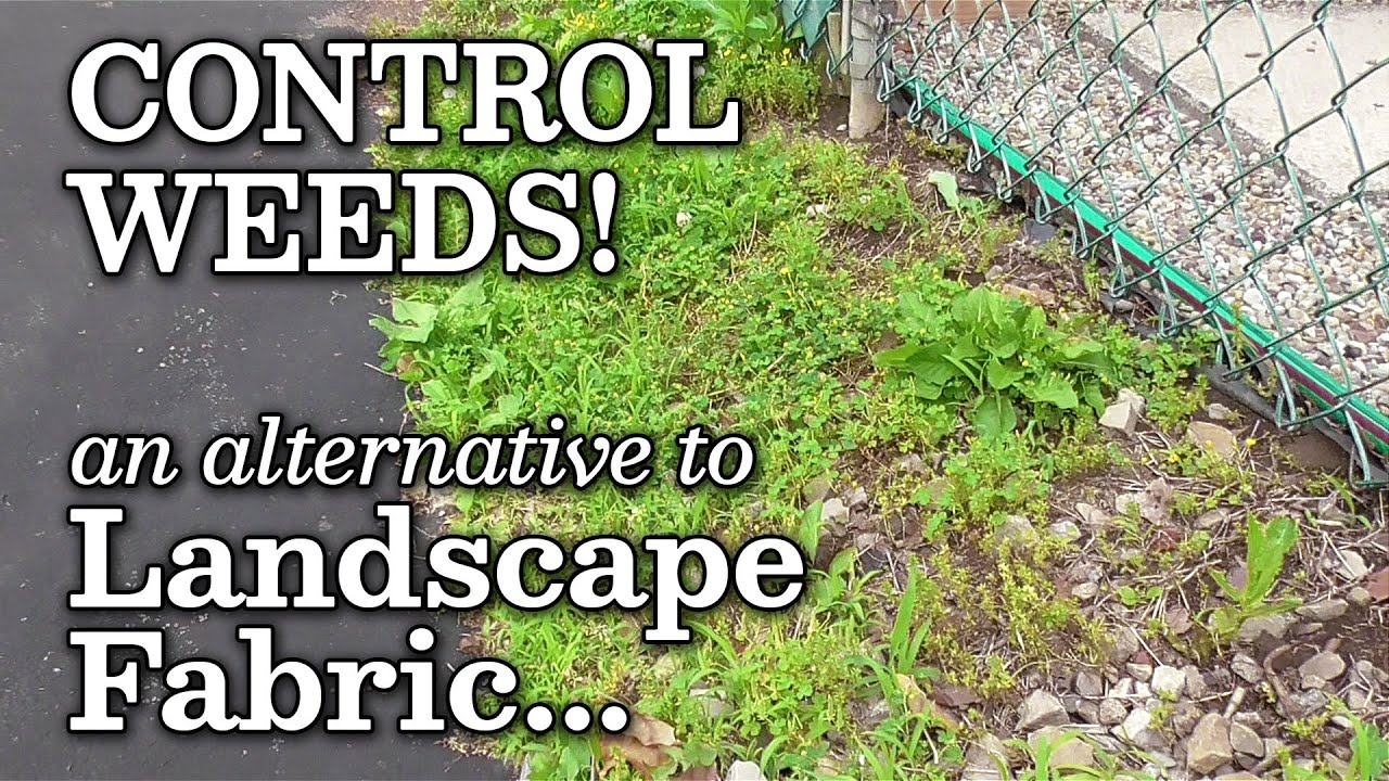 Landscape Fabric Pros & Cons Finding an Alternative thru Sheet Mulching for Weed Control
