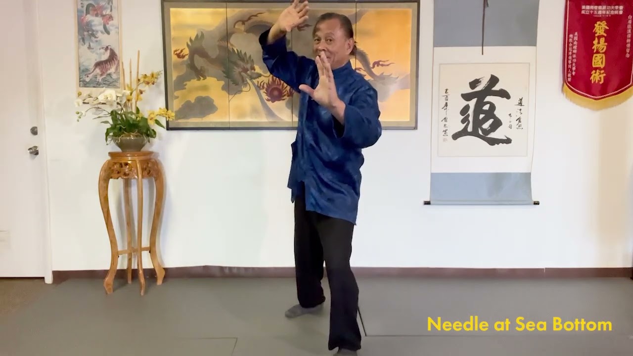 Tai Chi (Part 28) - Needle at Sea