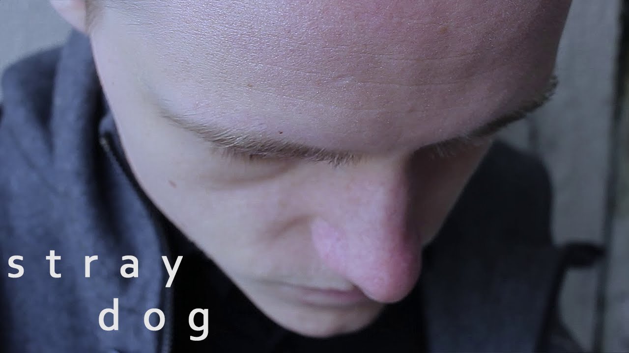 Stray Dog (2020) | Scottish Short Film
