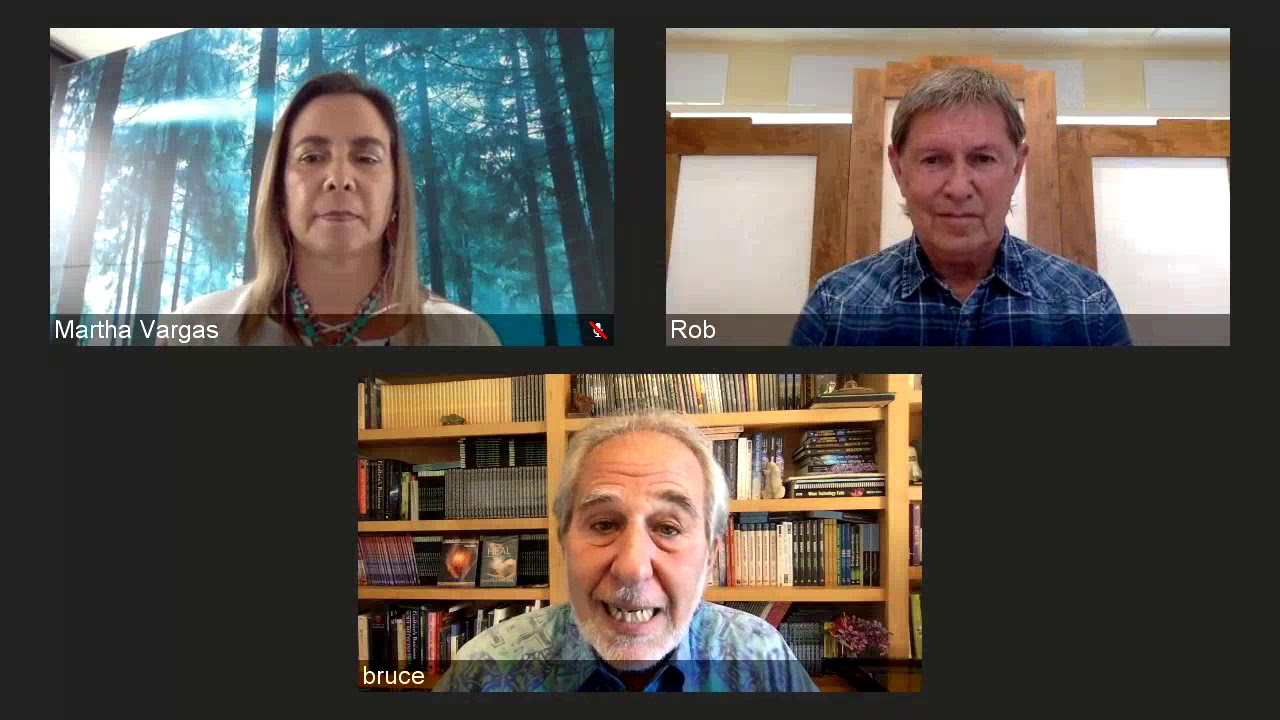 LIVE Interview with Bruce Lipton and Rob Williams