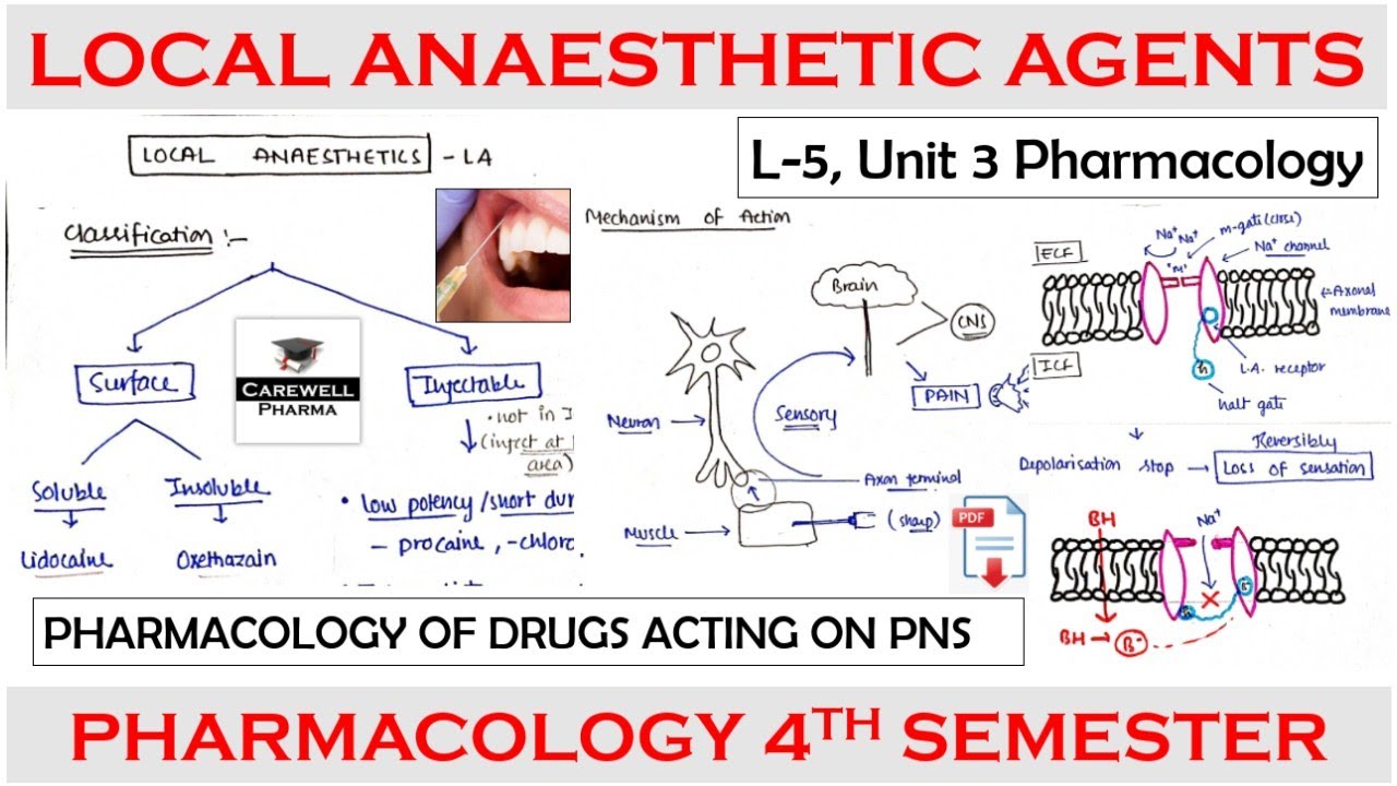 Local Anaesthetic Agents | Introduction | Mechanism | Classification | L-5, U-3 Pharmacology 4th Sem
