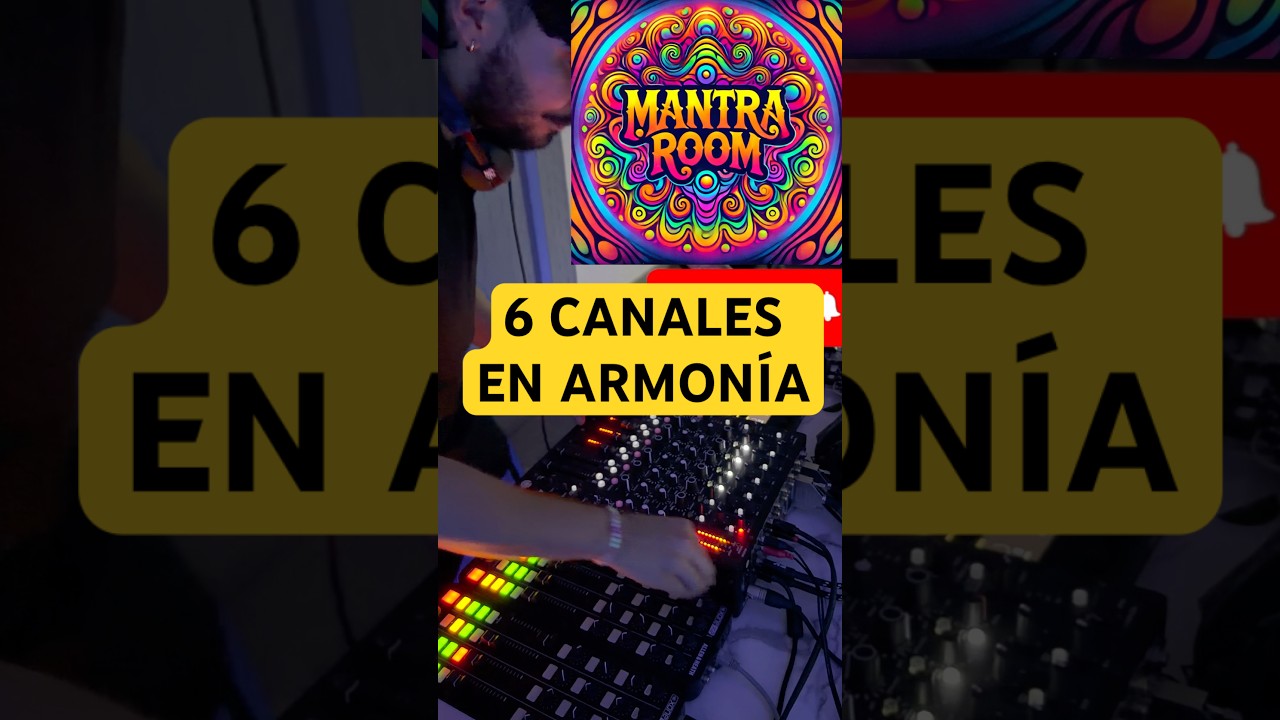 6 CANALES ⭐️🕺🏻 En armonía total !! 