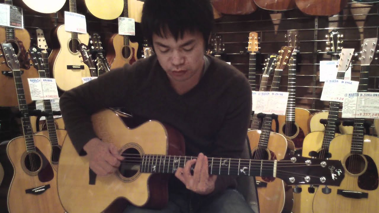 Dolphin Guitars - JOE STRIEBEL 