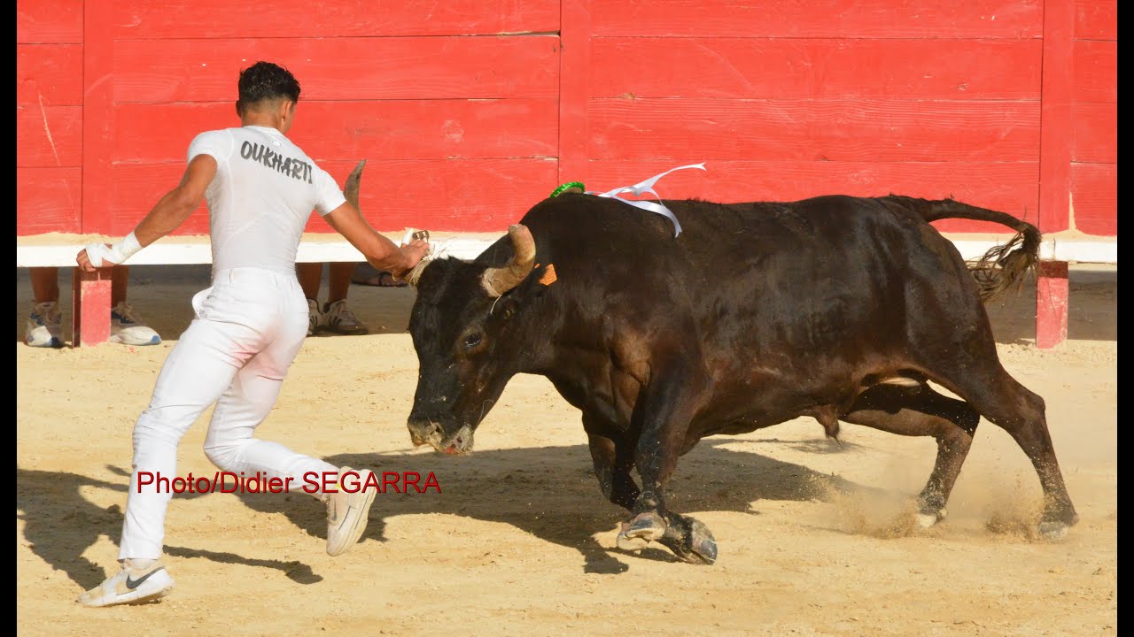 Course camarguaise lunel 19 juillet 2025
