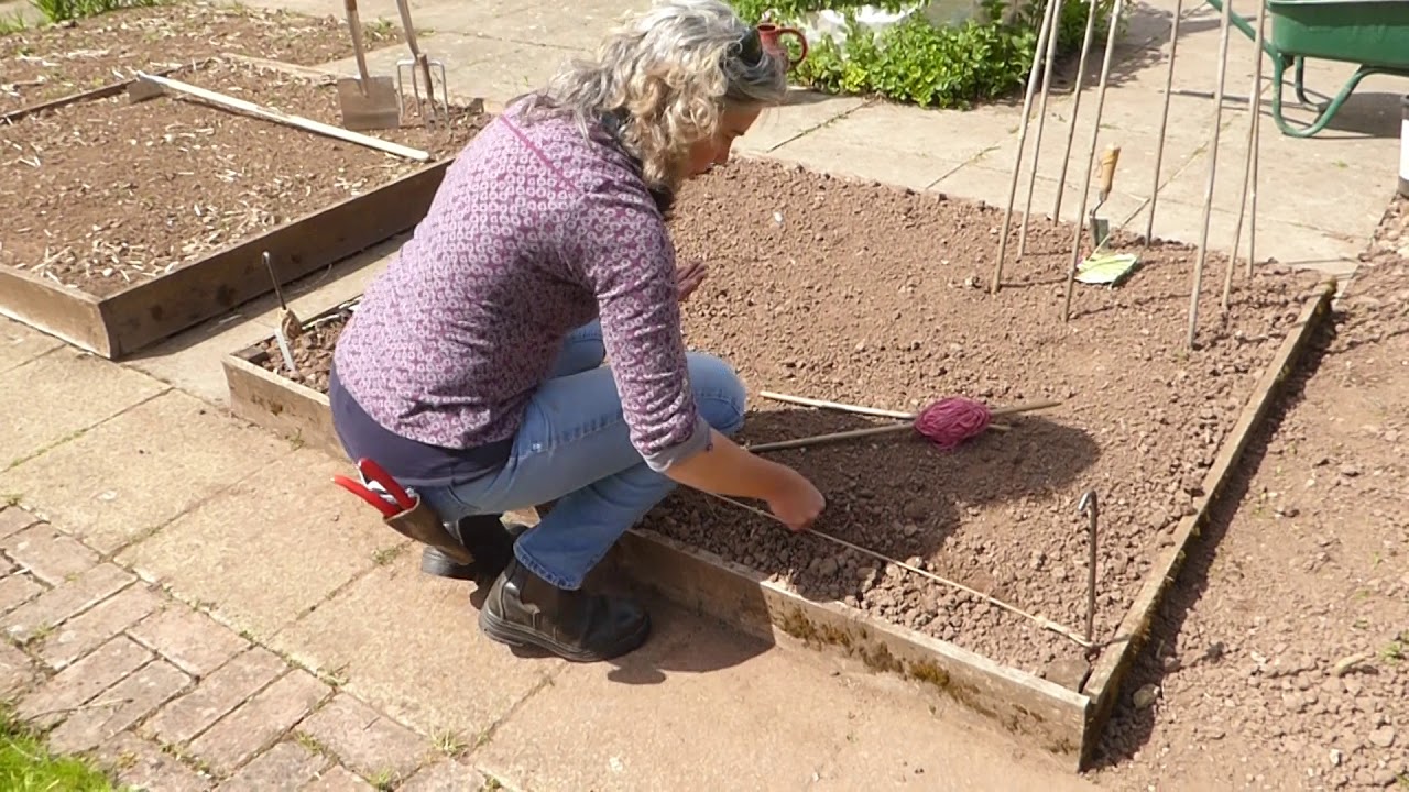RHS L2 Seed Sowing Outdoors part 1 LB