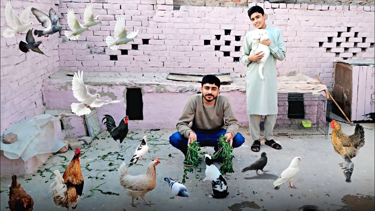 Shoaib has returned after a long time.. 🧑‍🤝‍🧑 