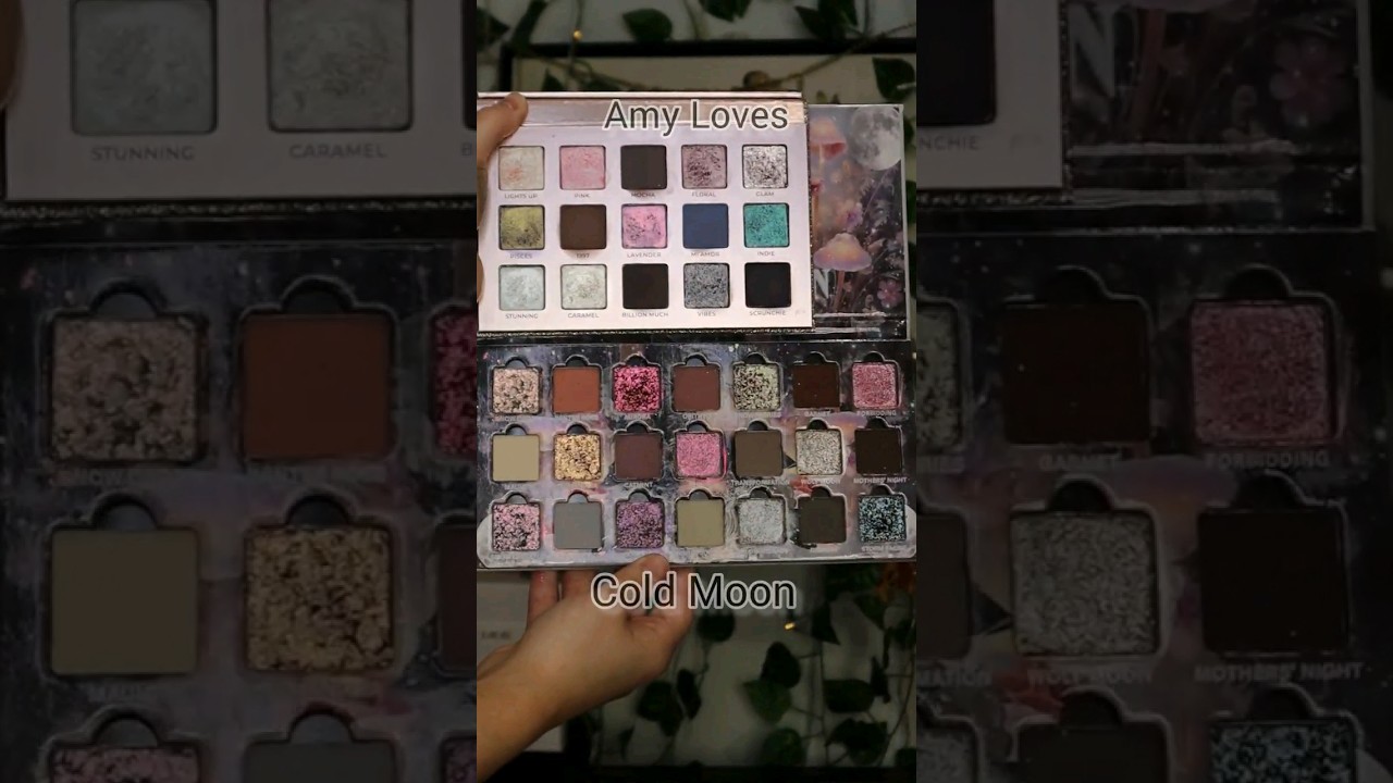 Adept Cosmetics X Amy Loves Makeup compared to Ensley Reign Cold Moon | Dupes??