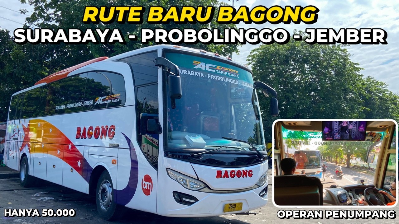 GARA GARA ADA BUS INI MASUK, BUS TAPAL KUDA MULAI BERBENAH TARIF‼️😂 Trip Po Bagong Sby - Jember