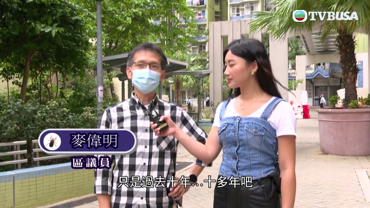東張西望｜有住戶遭禽蟎咬至皮膚又紅又癢，更有人感染牛鏈球菌，攝製隊查探為患源頭，發現疑似人為造成 ｜TVBUSA｜民生