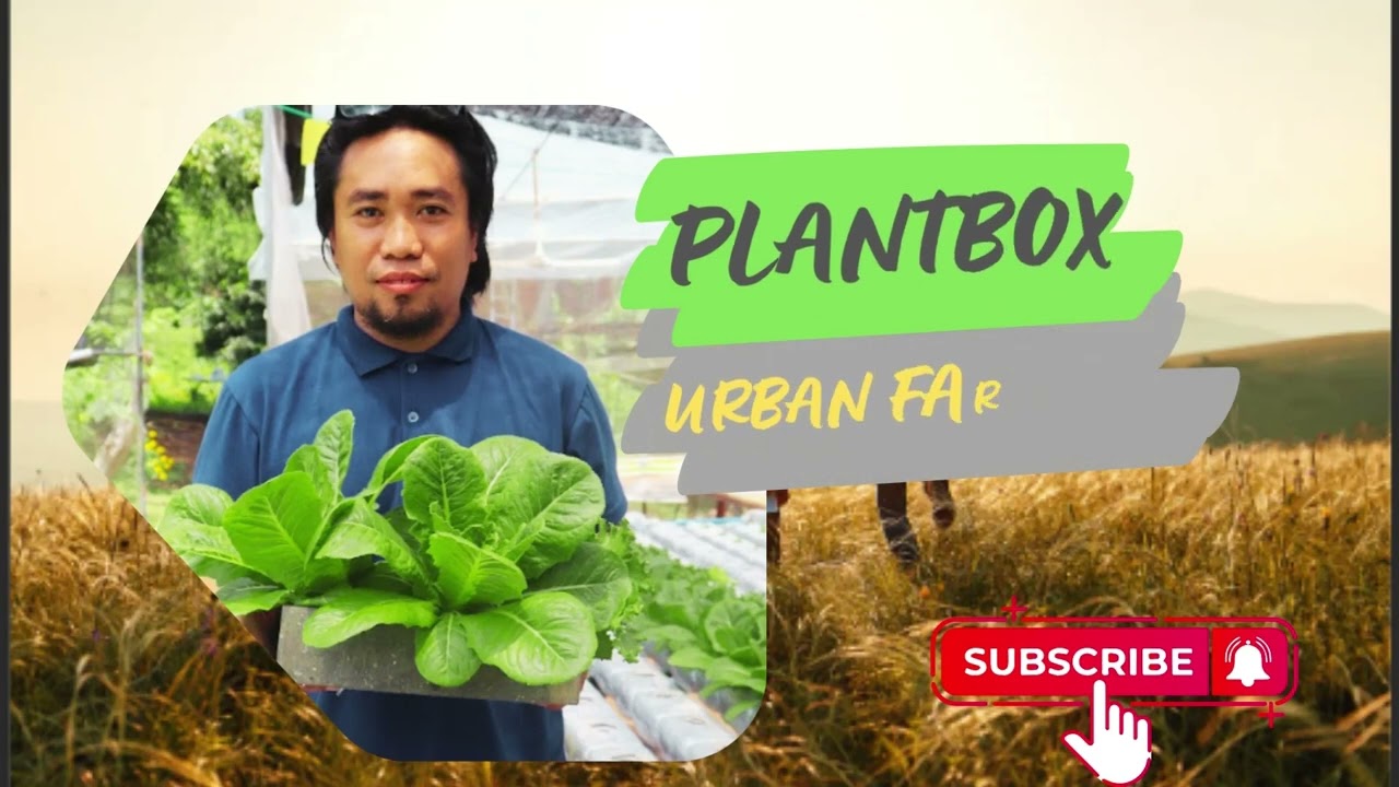 How to make organic NPK at home for your hydroponics