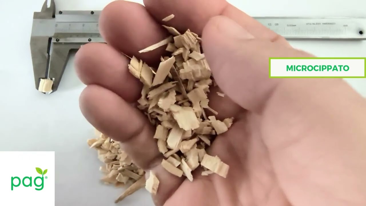 MICROCIPPATO DI CONIFERA