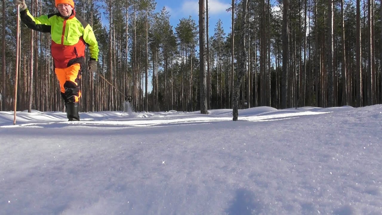 Metsäsukset antavat kovat vauhdit eli hiihtoretkellä
