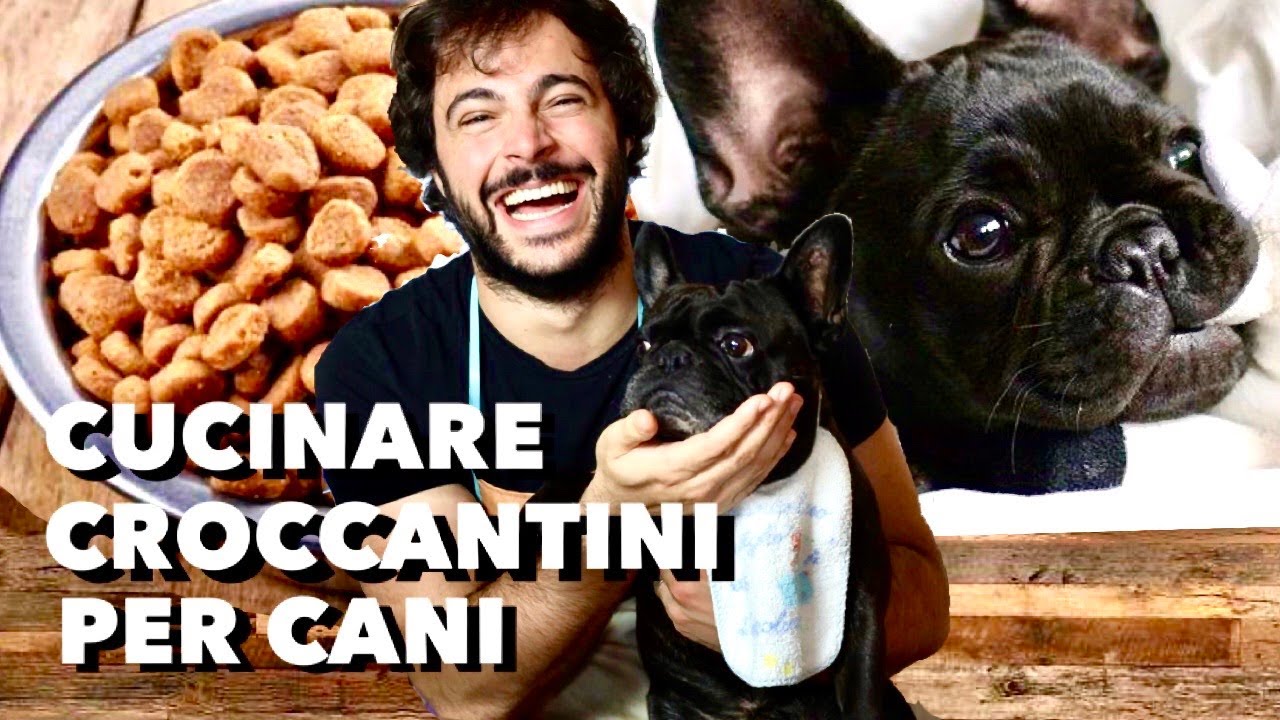 Croccantini per cani fatti in casa | Cucina Buttata - Guglielmo Scilla - Willwoosh