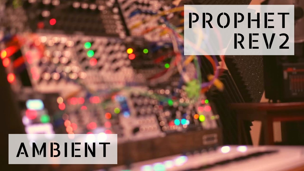 Build | Prophet Rev2 + Eurorack [ambient]
