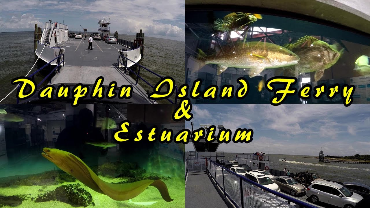 Dauphin Island Ferry & Estuarium