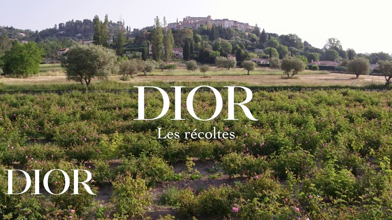 Dior Les R&eacute;coltes &ndash; Grasse Rose