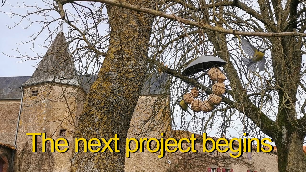 EP168 ...but did we choose the correct wood?