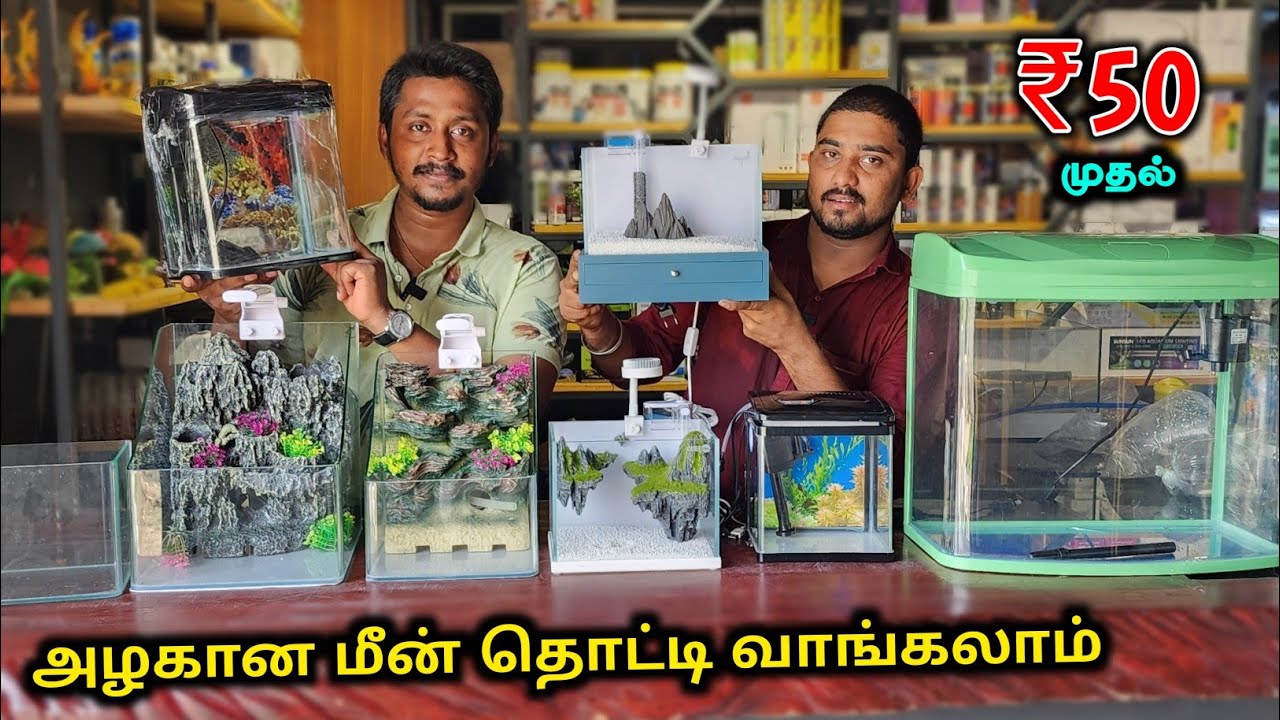₹50 முதல் மீன் தொட்டி கிடைக்கும் | Cheapest Fish Tank | Vino Vlogs