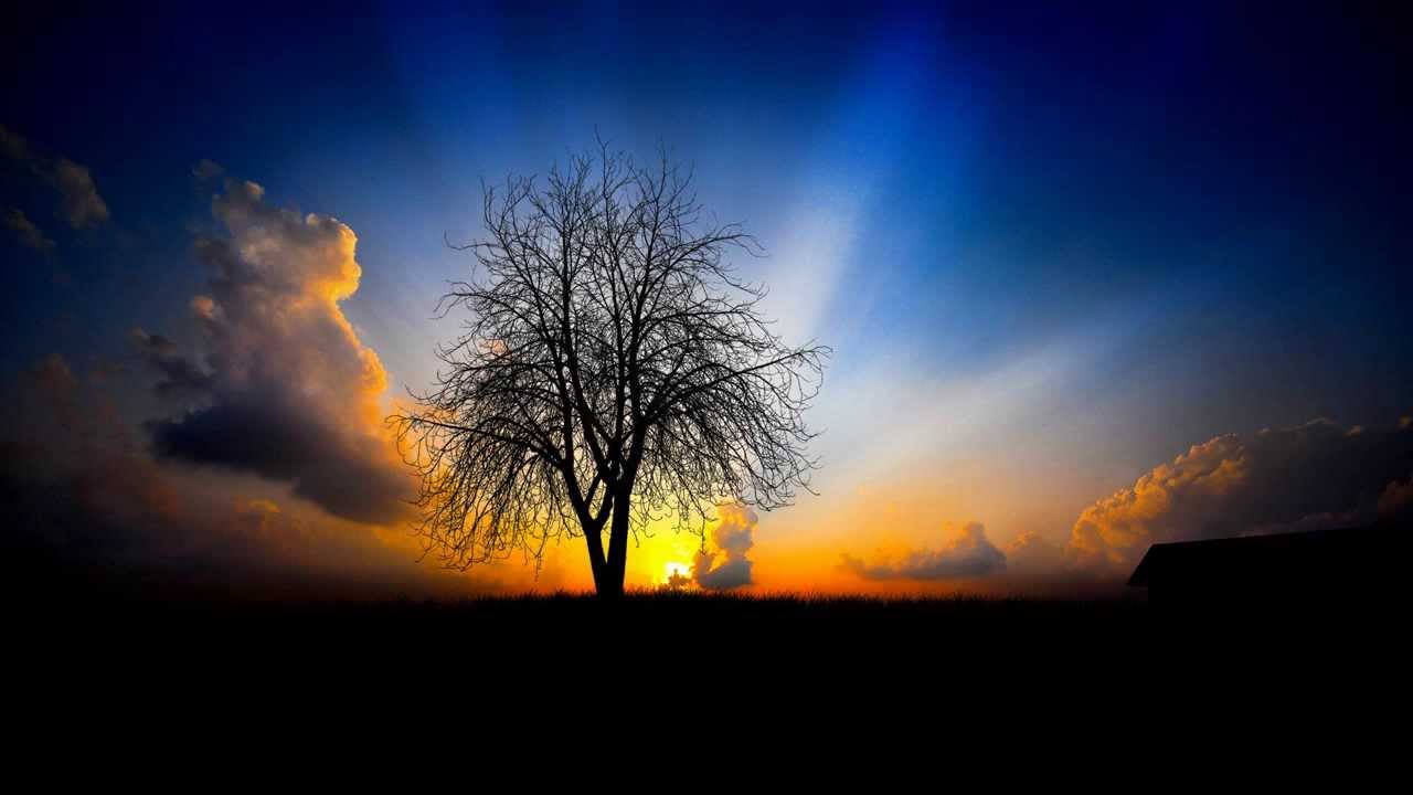 Surat An Nahl - Ahmad Al-Ajmi سورة النحل - أحمد العجمي