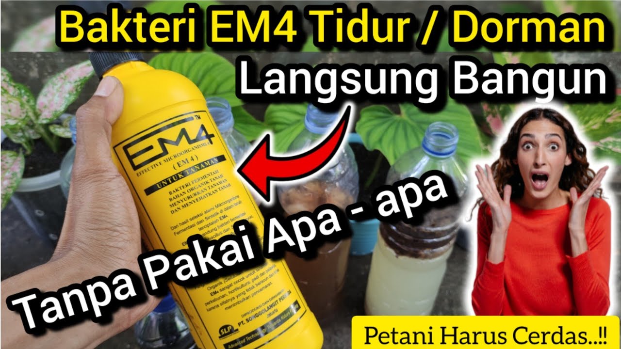 🔴 Omong Kosong ❌ EM4 Harus Diaktifkan Dulu Sebelum Digunakan ❌ EM4 Sebagai Agen Kompos Dan POC ✅