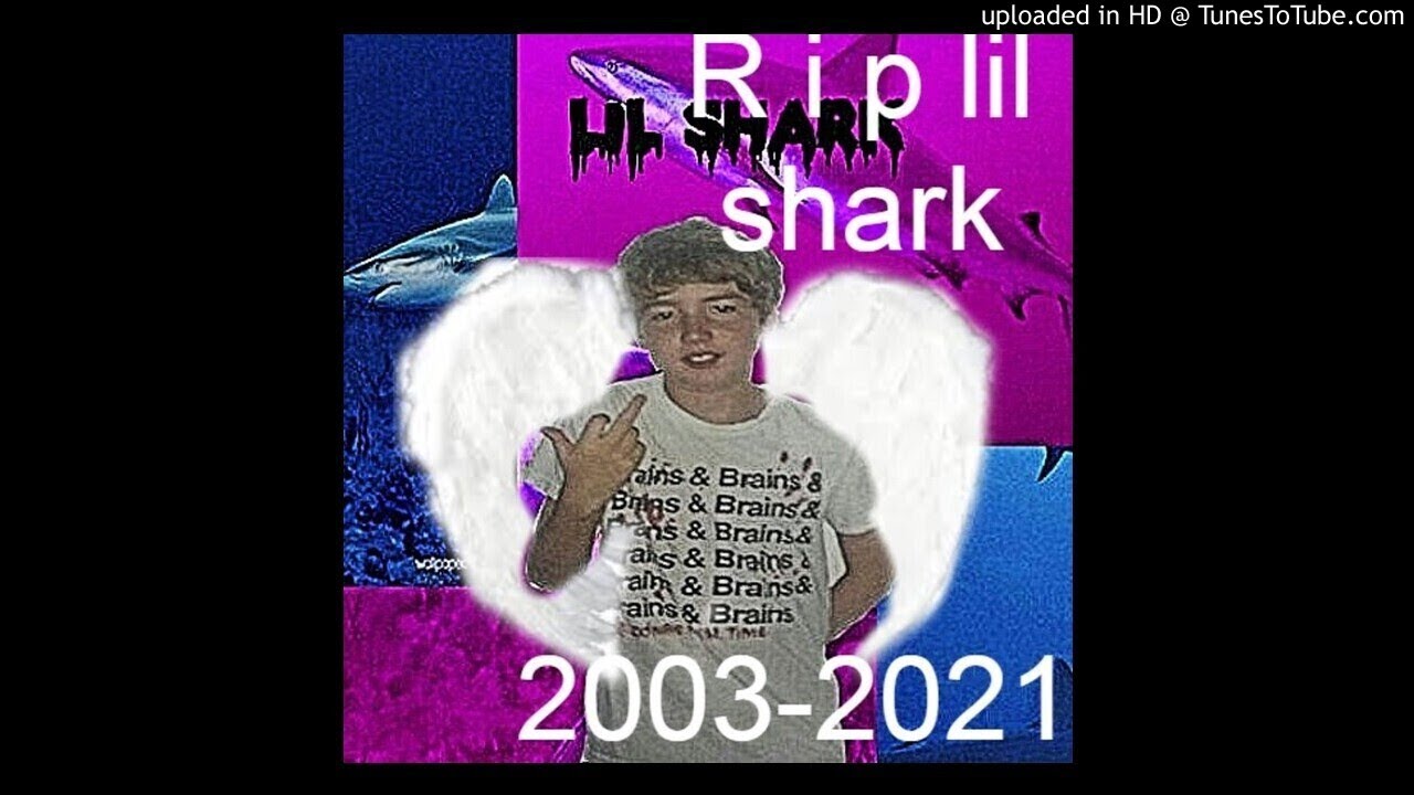 Rip)  lil shark x dualedgescytheswampkill777 x wavy akvk x ethereal type beat