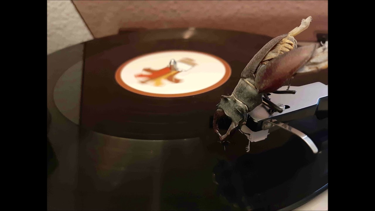 Bug Walberg presents: Deep Dubstep 2021 - Rewind Mix