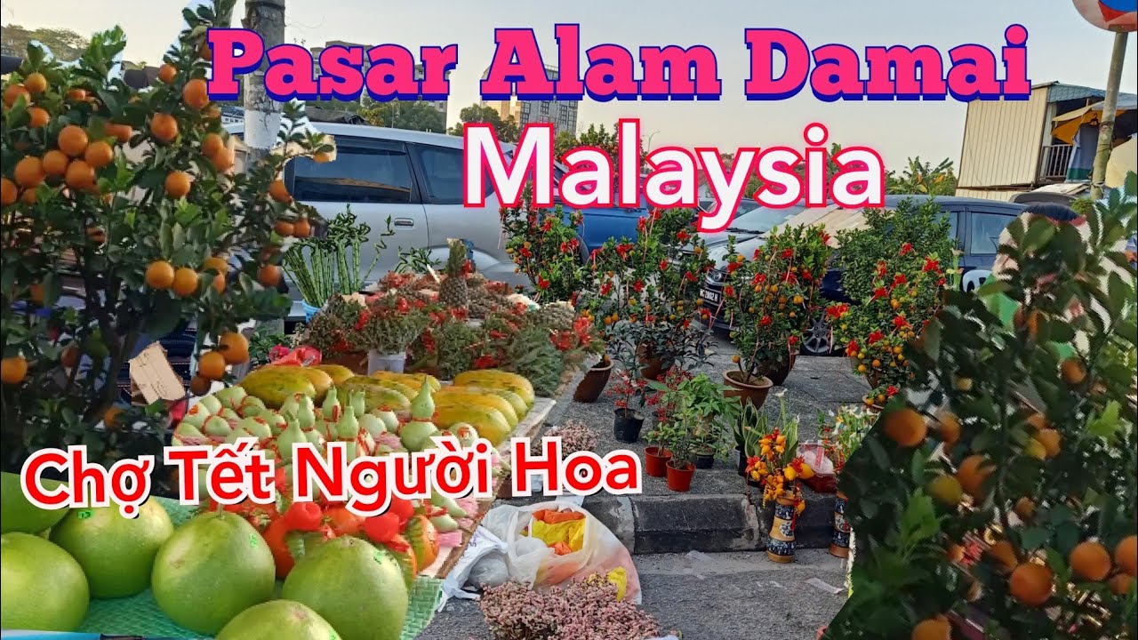 Không khí Chợ Tết Người Hoa, Phong Tục và truyền thống người Trung Hoa, Pasar Alam Damai