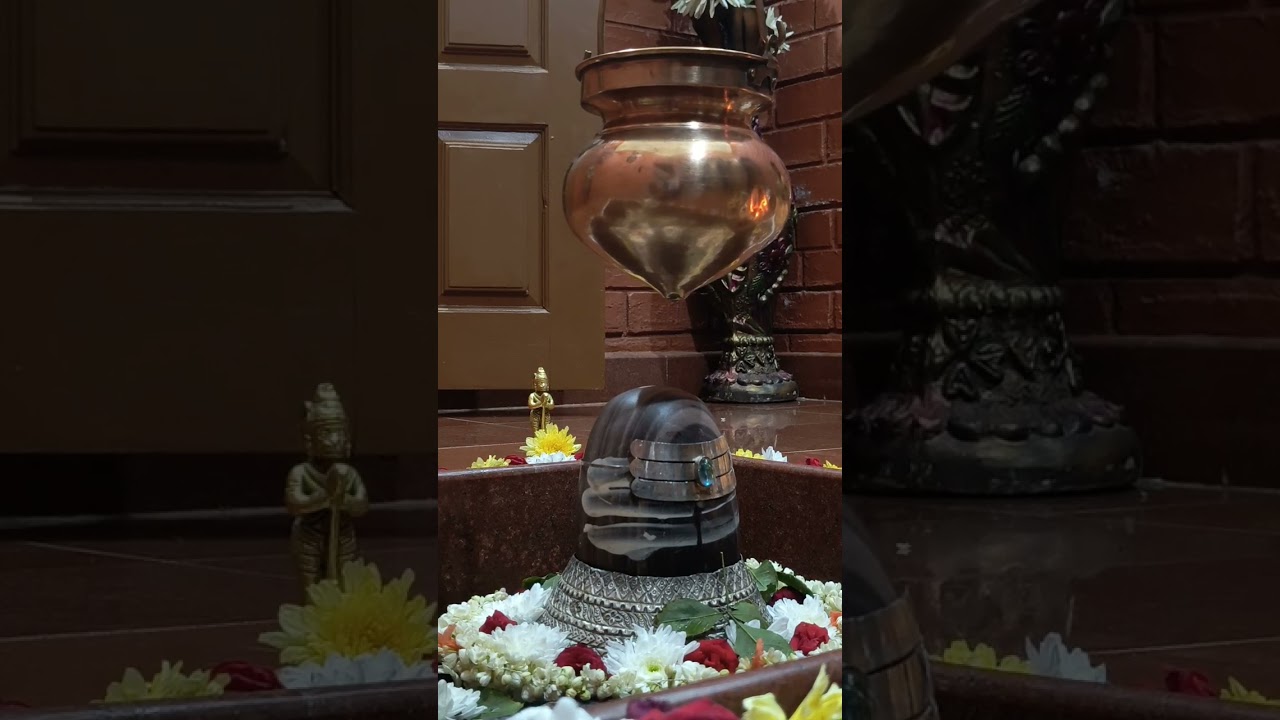 Shiva Aparadha Kshamapana Stotram | Mahashivratri | Sri Dakshineswara Shivalaya | Matrudhama |