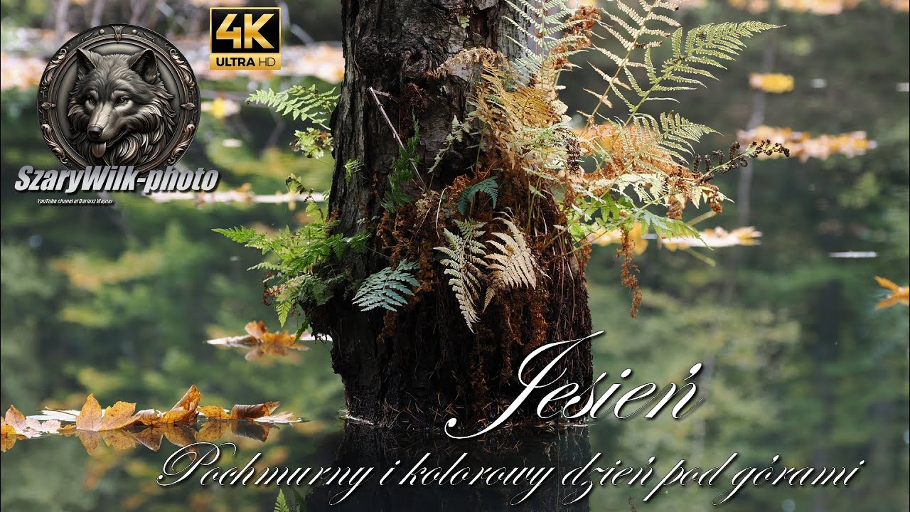 JESIEŃ - Pochmurny i kolorowy dzień pod górami