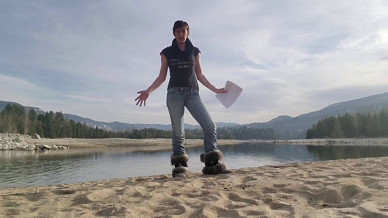 The Panoptical Poet on Feminist Poetry