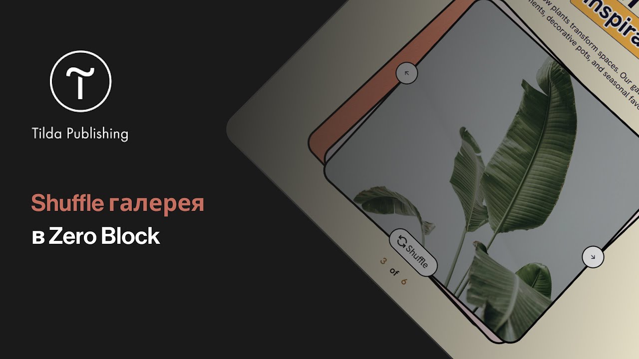 Tilda publishing | Shuffle gallery | Карточная галерея в Zero Block