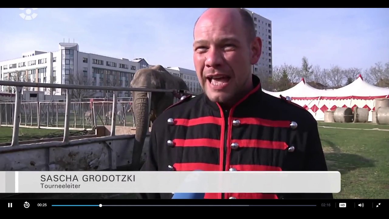 Circus Voyage zu Gast in Dresden   SACHSEN FERNSEHEN
