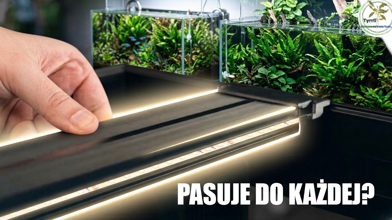 Lampa pod pokrywę. Sinkor X.