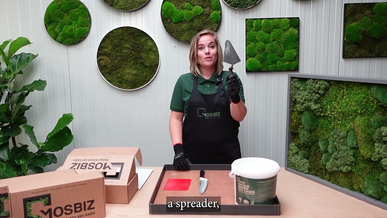 Zelf een mosschilderij maken met rendiermos? Zo doe je dat!