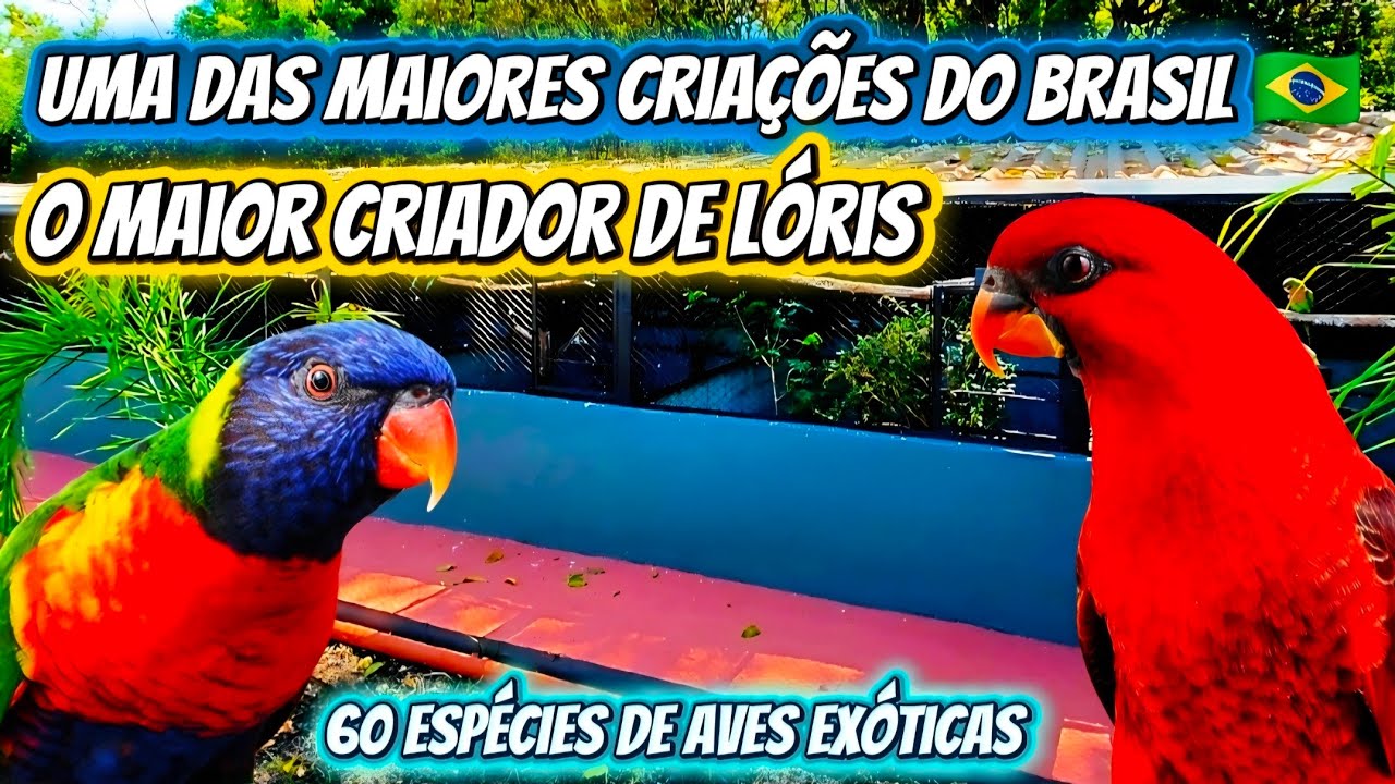 ​