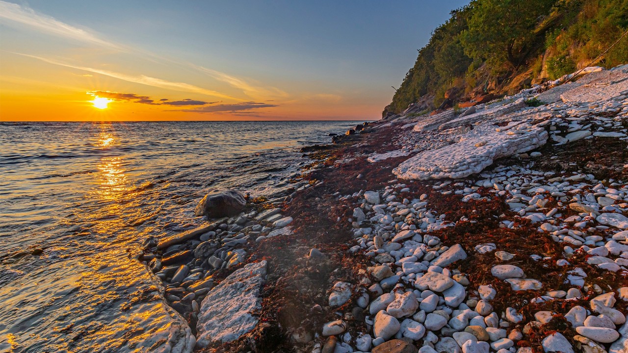 Beautiful Relaxing Music 🌿 Stop Overthinking, Stress Relief Music 🌿 Gentle Music