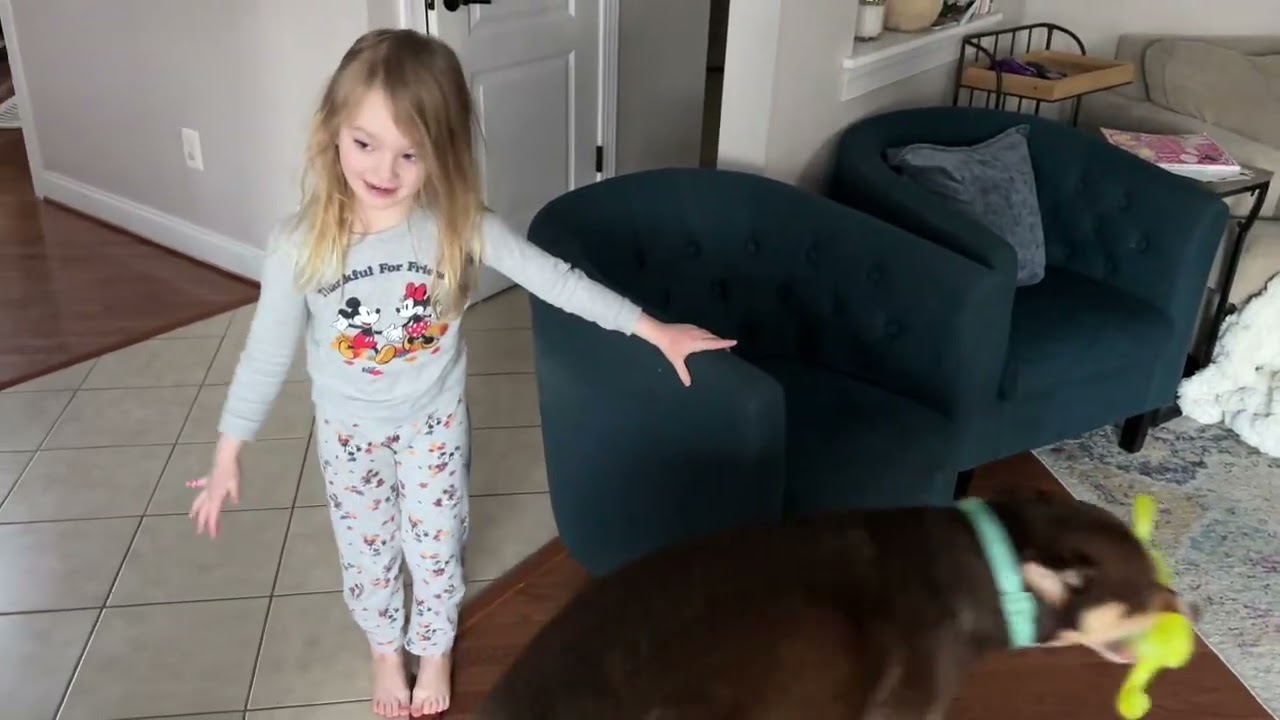 Dog Training by Millie Mae