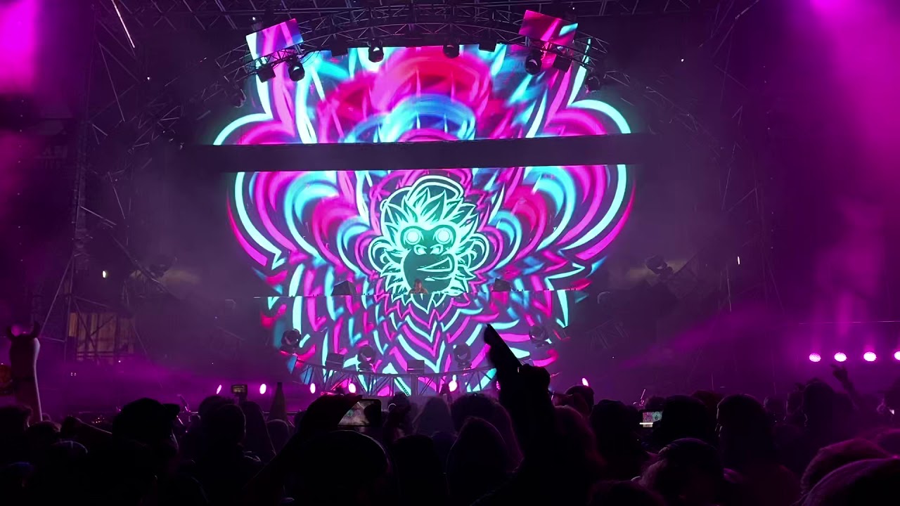 Dirt Monkey @ Wakaan 2019