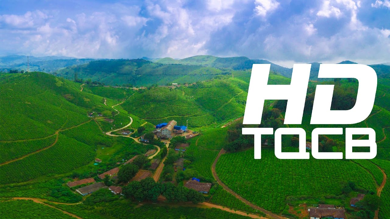 Munnar - the Hill Station of Kerala in Idukki  | India | HD