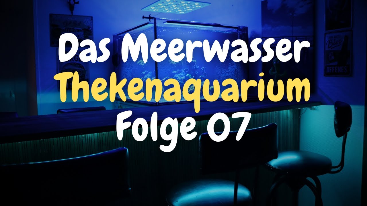 Das 450 Liter Meerwasseraquarium mit Theke - Folge 07