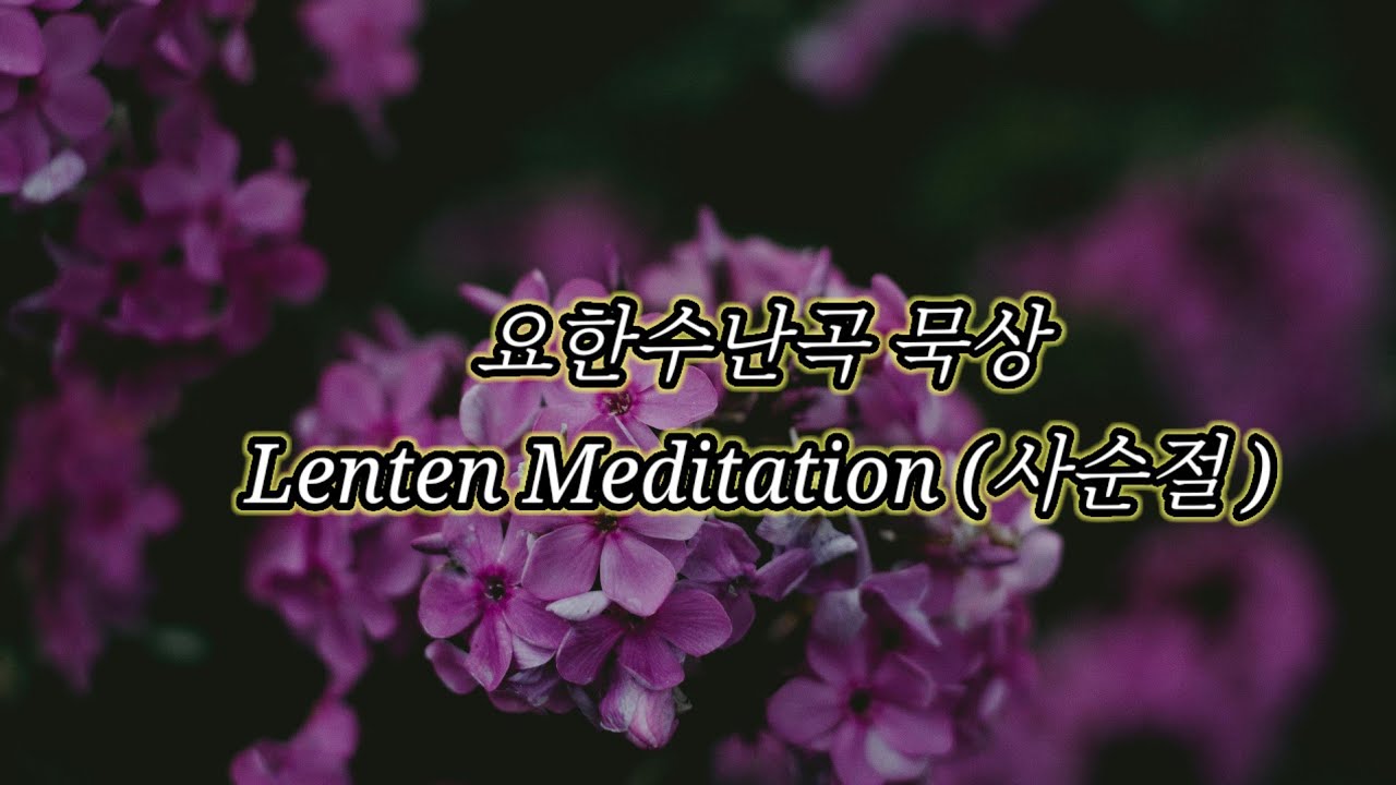 (사순절) 가슴 깊이 울리는 요한수난곡 - 고난의 길을 묵상하며