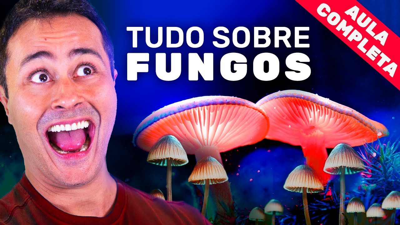 REINO FUNGI: Tudo sobre FUNGOS pra voc&ecirc; detonar na prova